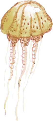 Cei doi prieteni porniră împreună. Au trecut pe lângă o caracatiță jucăușă care le-a arătat drumul cu un tentacul, apoi pe lângă un crab grăbit care le-a făcut cu cleștele un semn de salut.