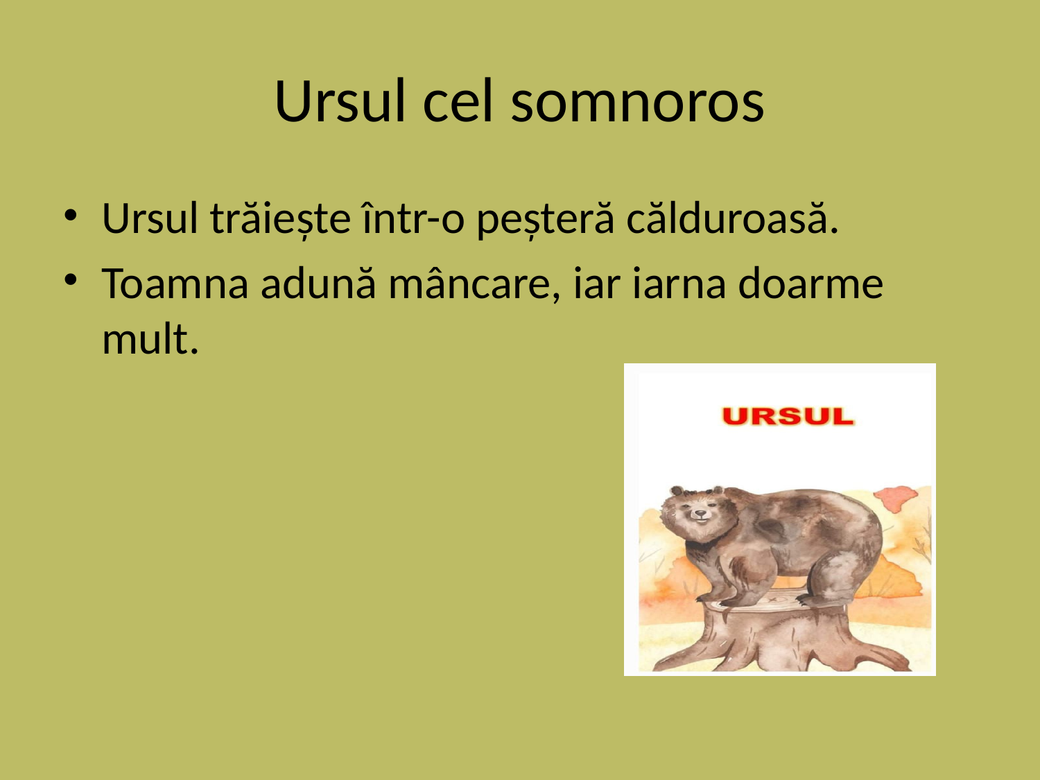 Slide 3