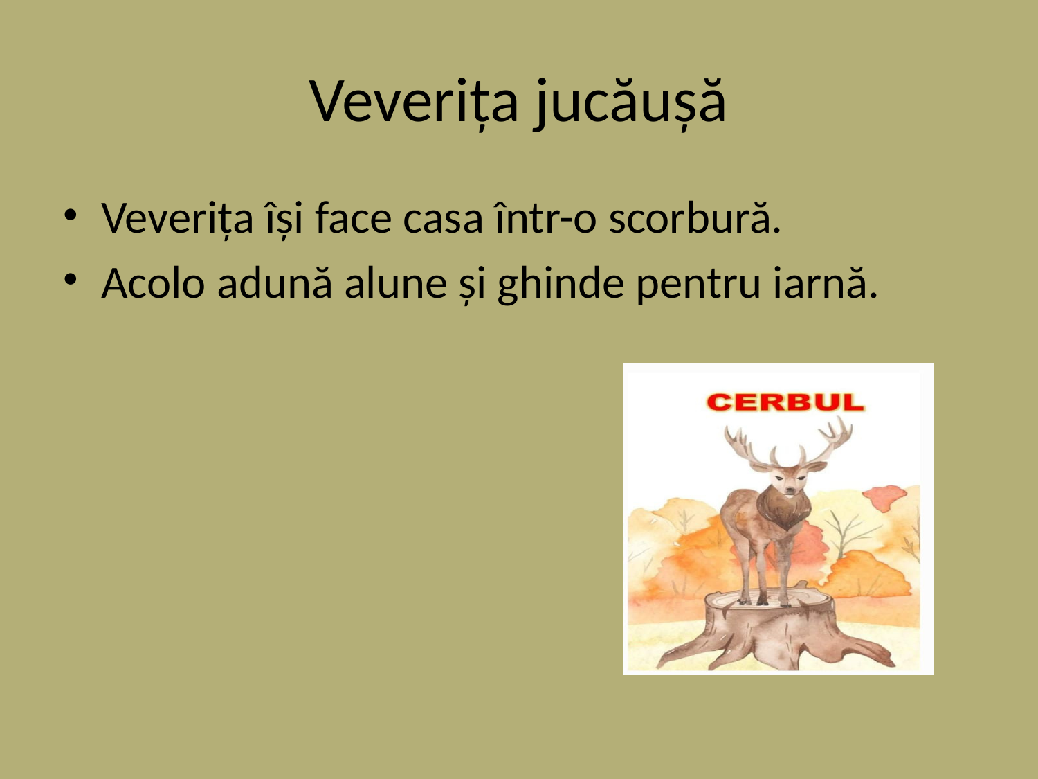 Slide 5