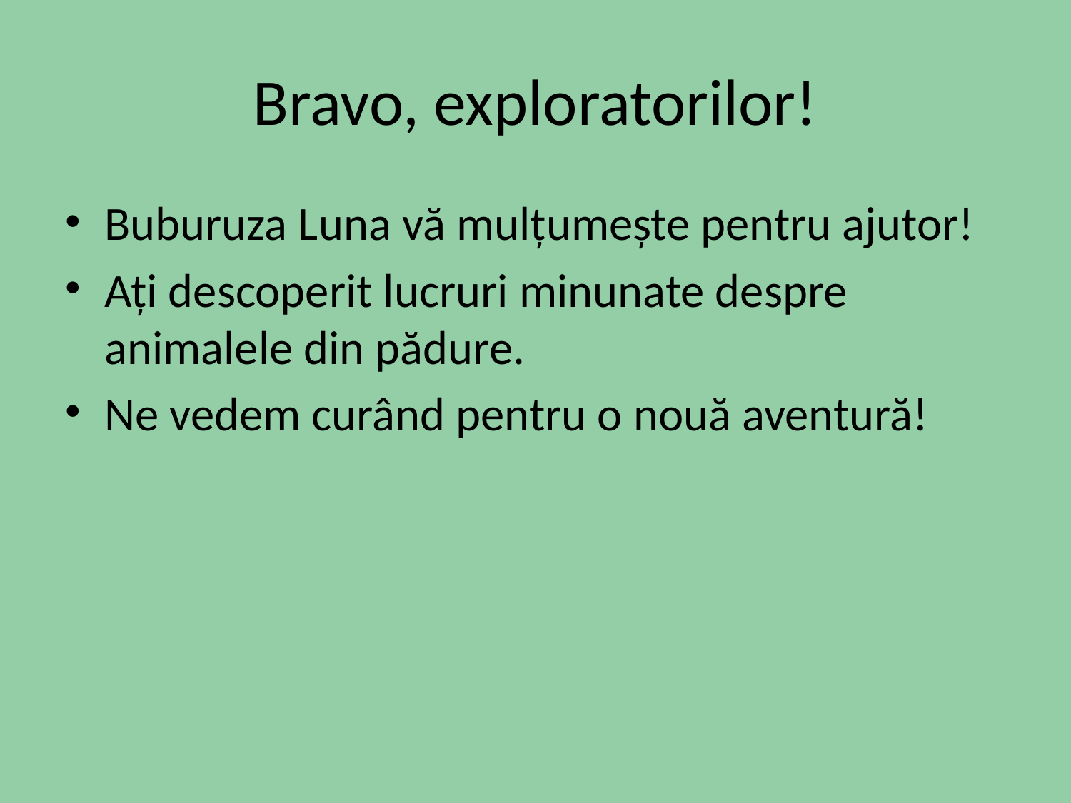 Slide 8