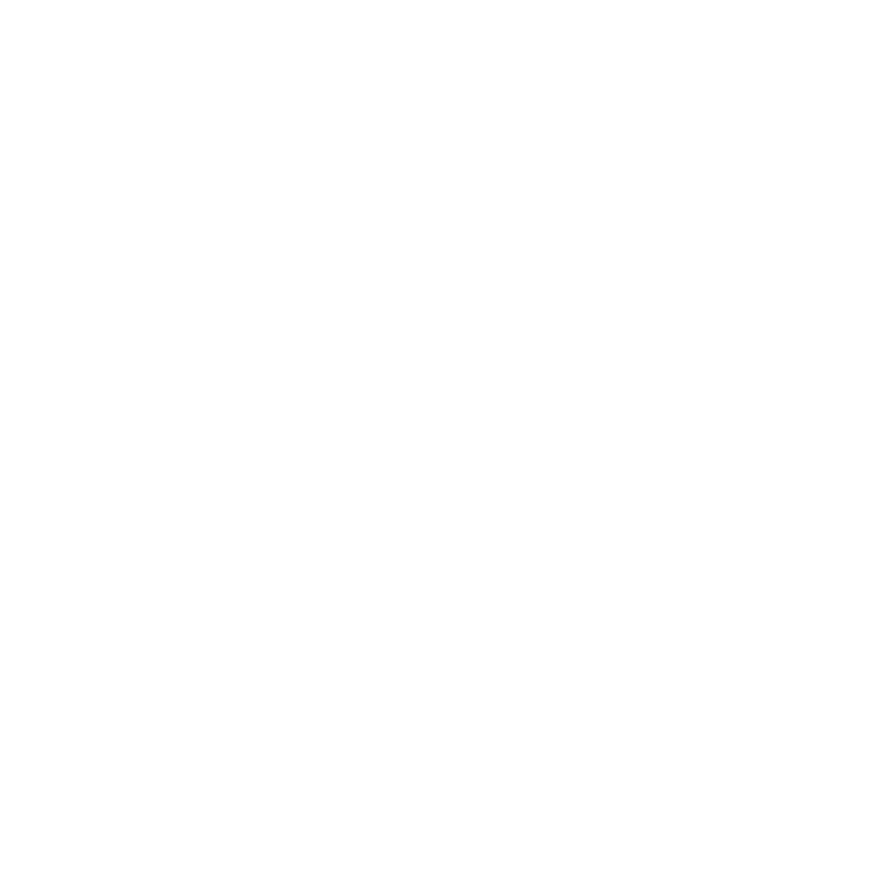 DE LA PRIMA CARTE TIPĂRITĂ LA CARTE DIGITALĂ