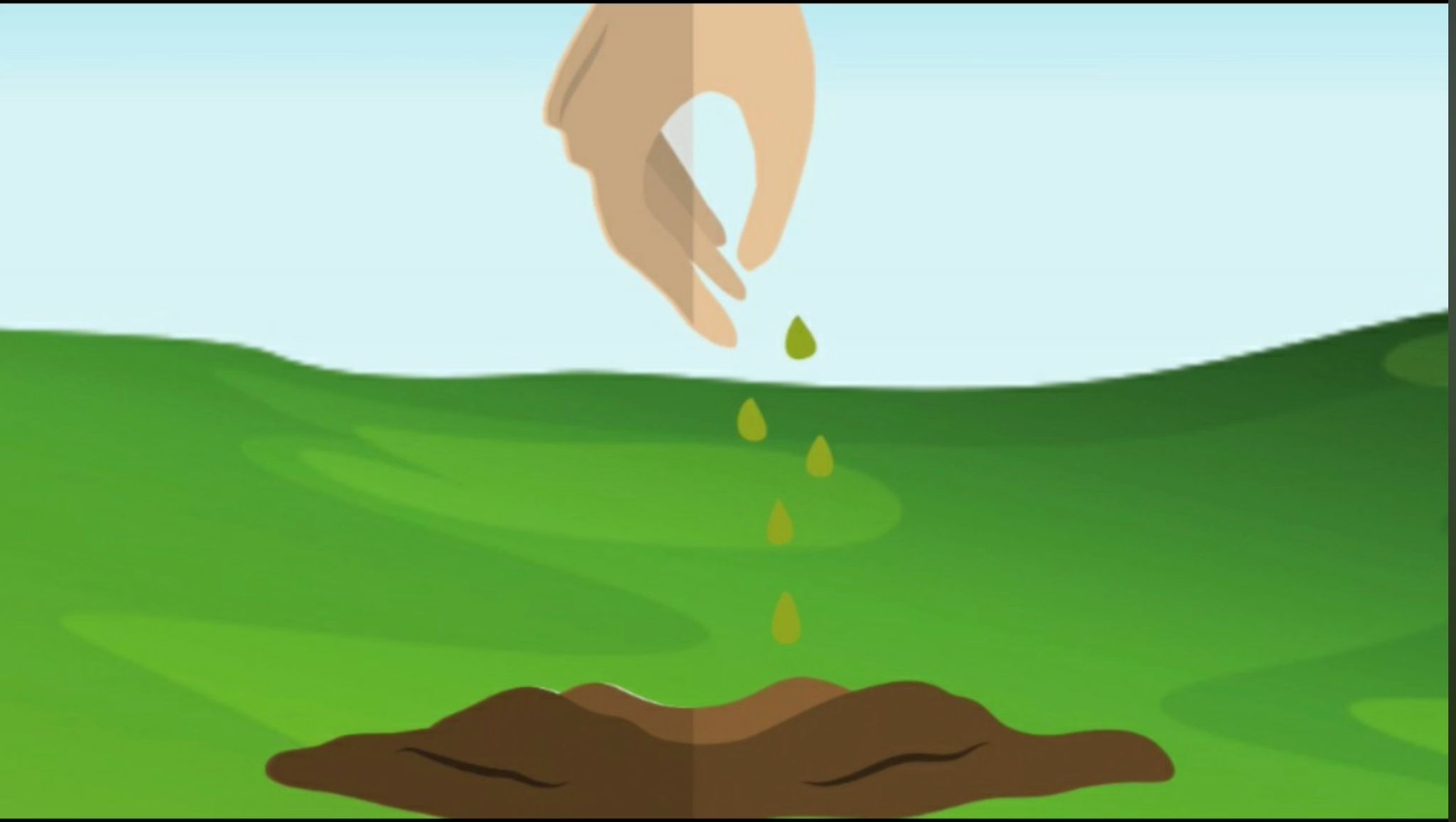 Slide 12