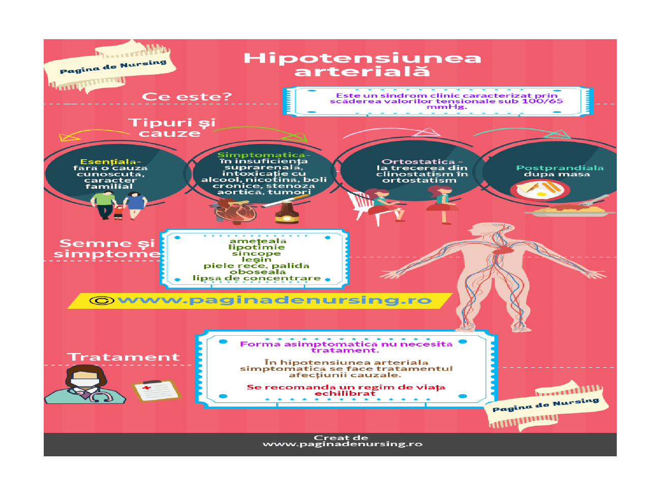 Slide 8